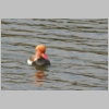 Img_8048 copy.jpg